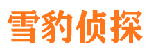 怀集市私家侦探公司